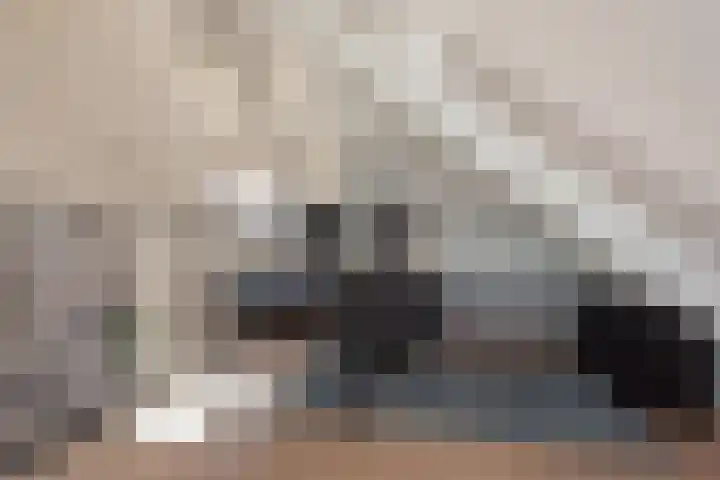 Rembrandtlaan 32 Voorburg thumbnail 31