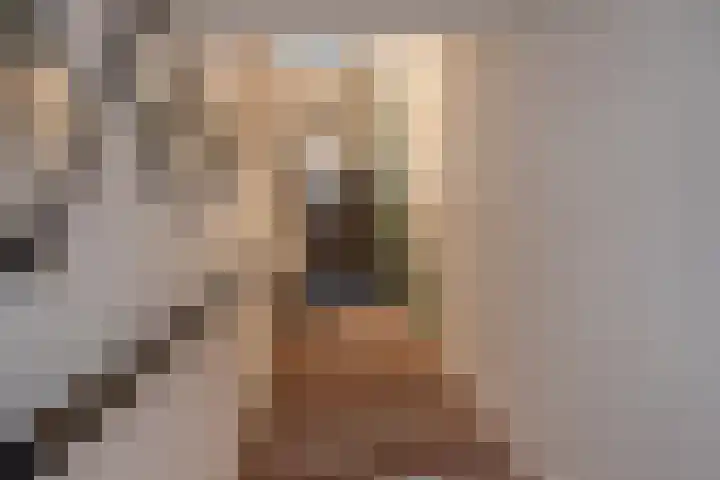 Rembrandtlaan 32 Voorburg thumbnail 6