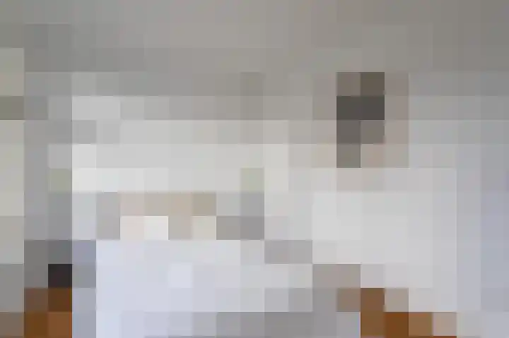 Rembrandtlaan 33 A 2 Schiedam thumbnail 17