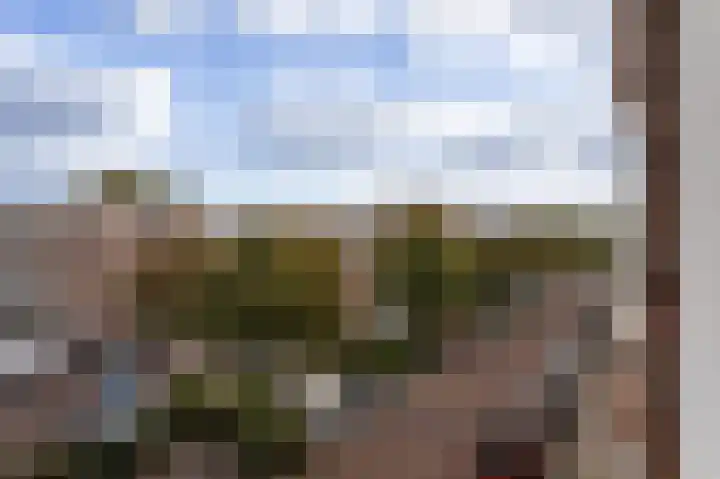Rembrandtlaan 33 A 2 Schiedam thumbnail 8