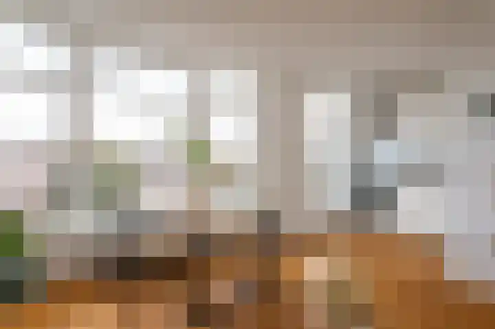 Rembrandtlaan 33 A 2 Schiedam thumbnail 9