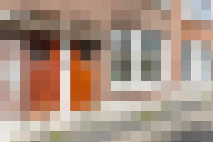 Rembrandtlaan 33 B Schiedam thumbnail 36