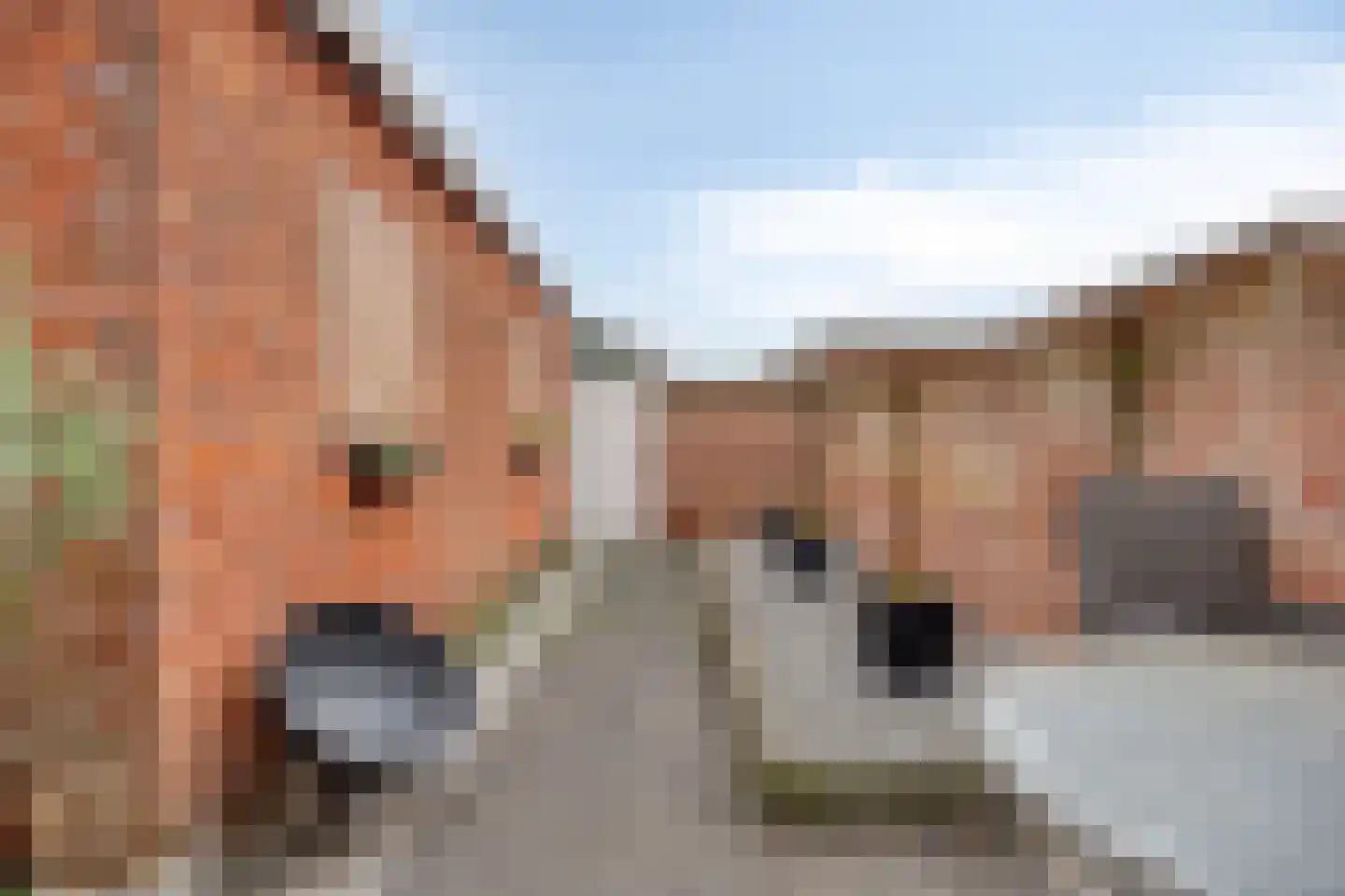 Rembrandtlaan 33 Terneuzen thumbnail 37