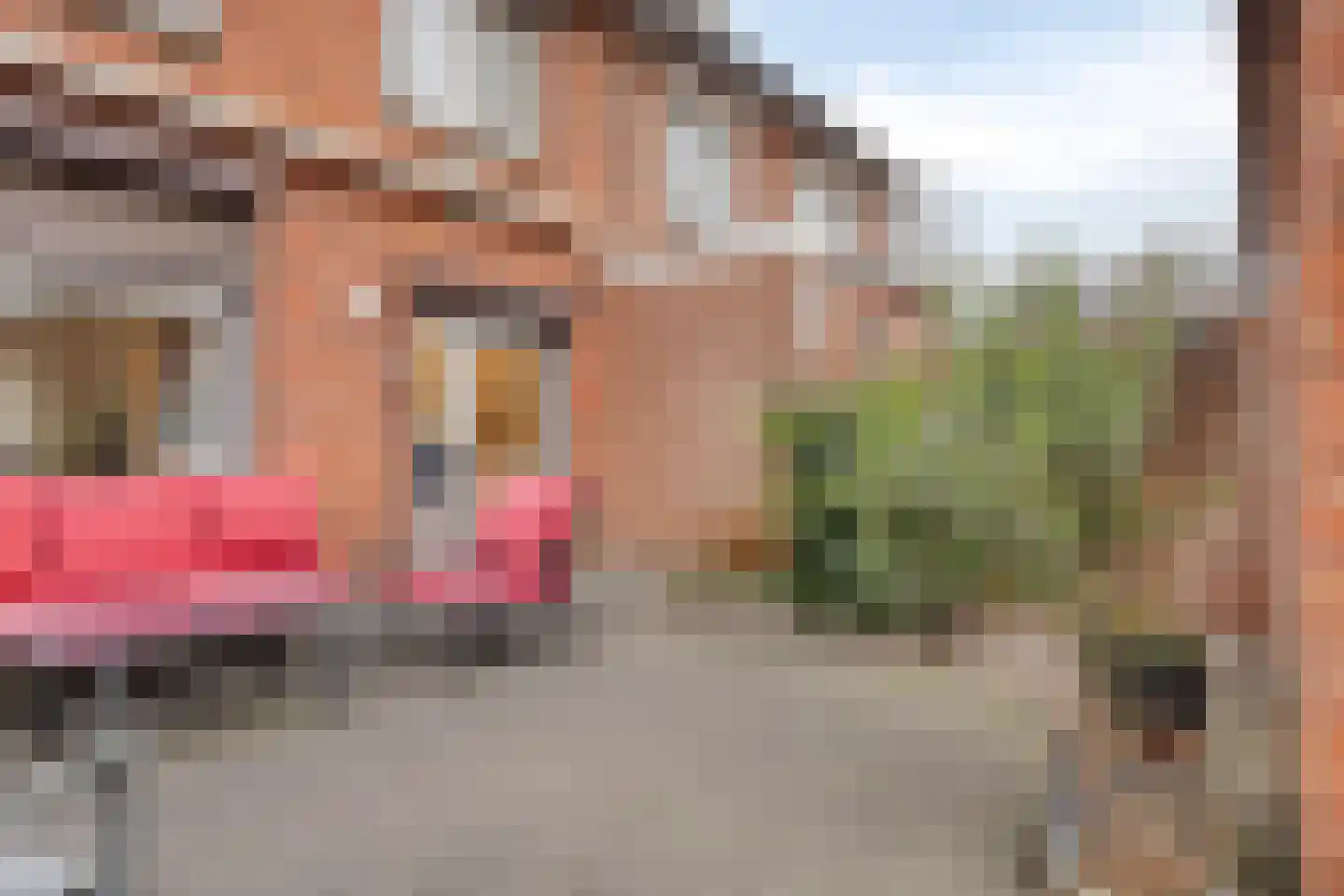 Rembrandtlaan 33 Terneuzen thumbnail 40