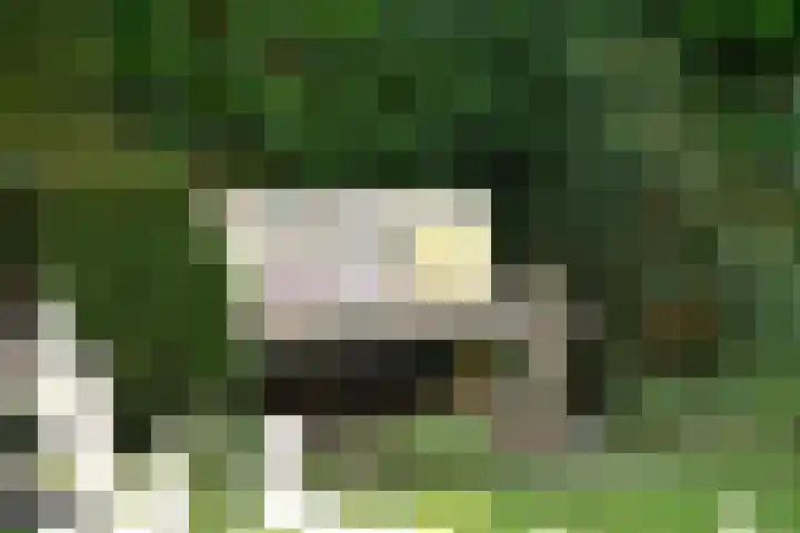 Rembrandtlaan 34 Naarden thumbnail 10