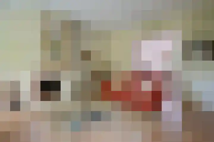 Rembrandtlaan 34 Naarden thumbnail 17