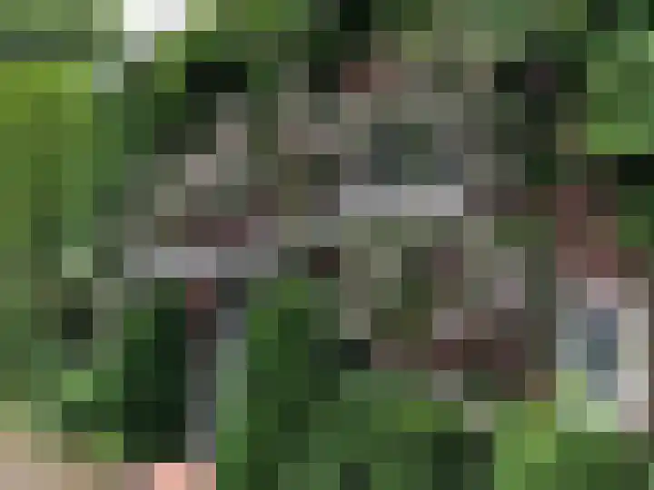 Rembrandtlaan 34 Naarden thumbnail 39