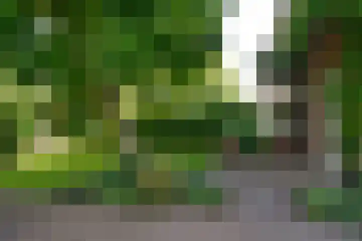 Rembrandtlaan 34 Naarden thumbnail 4