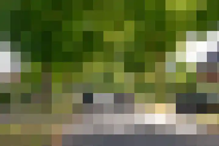 Rembrandtlaan 34 Naarden thumbnail 40