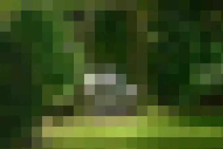 Rembrandtlaan 34 Naarden thumbnail 5