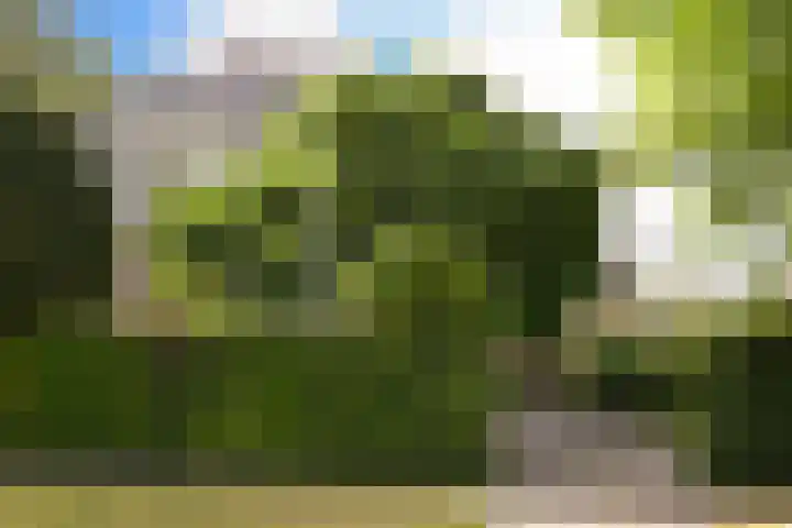 Rembrandtlaan 34 Naarden thumbnail 50