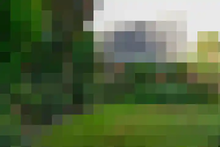 Rembrandtlaan 34 Naarden thumbnail 8