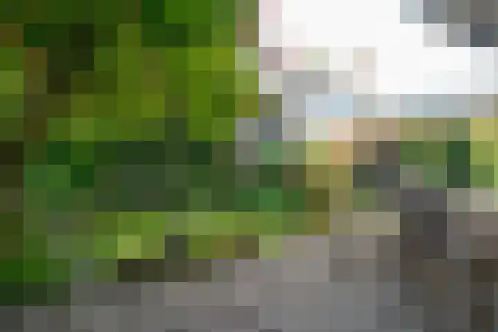 Rembrandtlaan 34 Naarden thumbnail 9