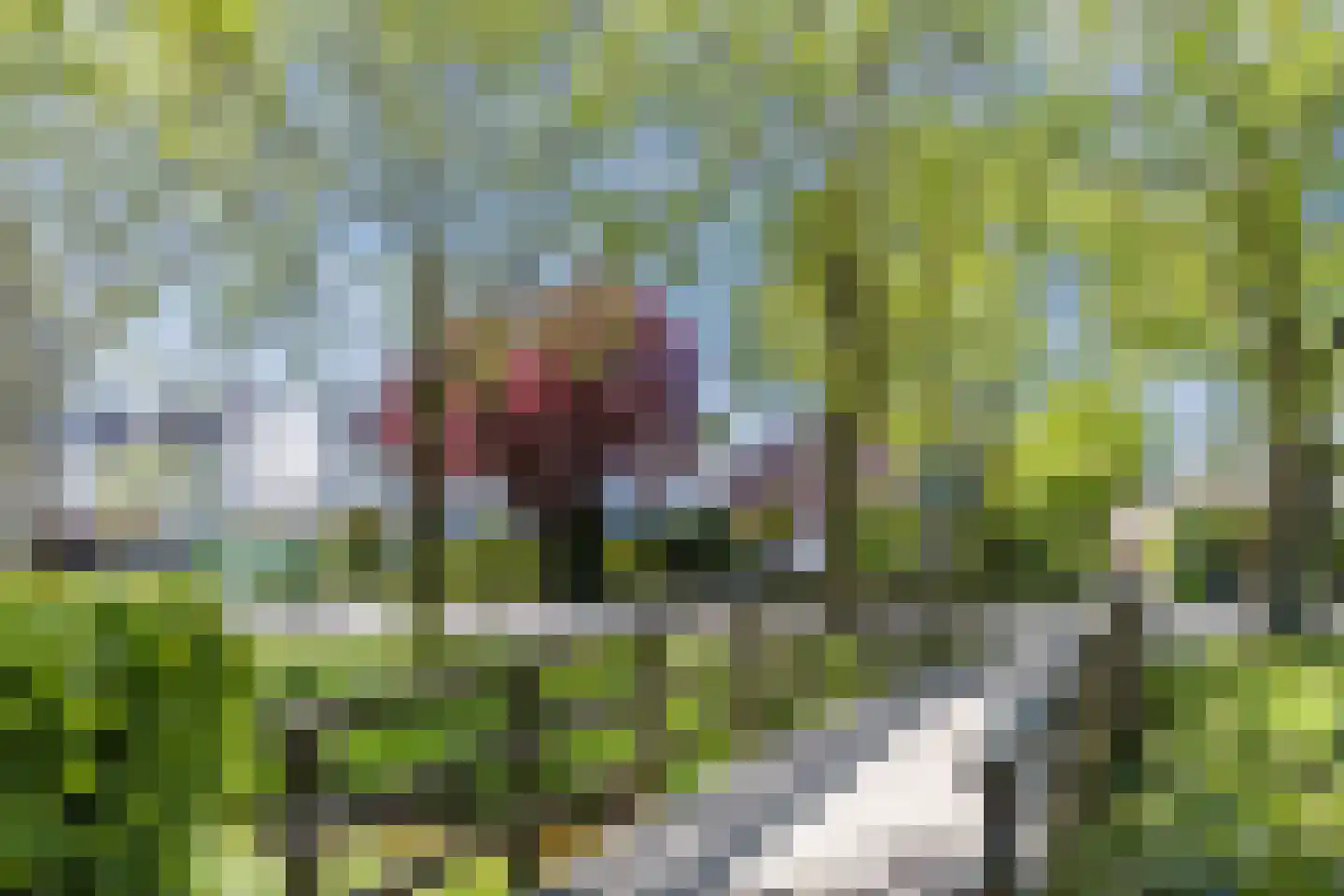 Rembrandtlaan 34 Oosterhout thumbnail 40