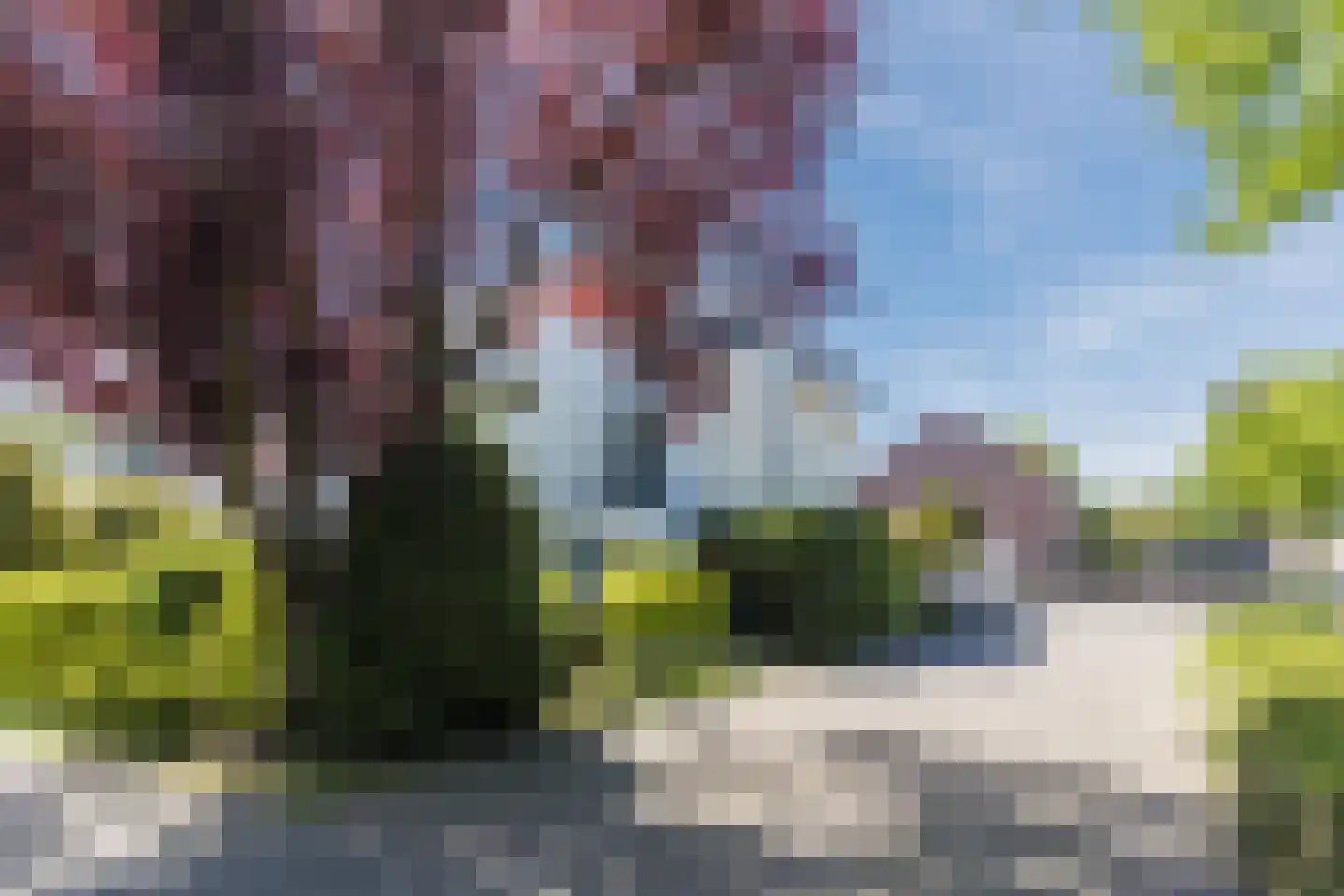 Rembrandtlaan 34 Oosterhout thumbnail 6