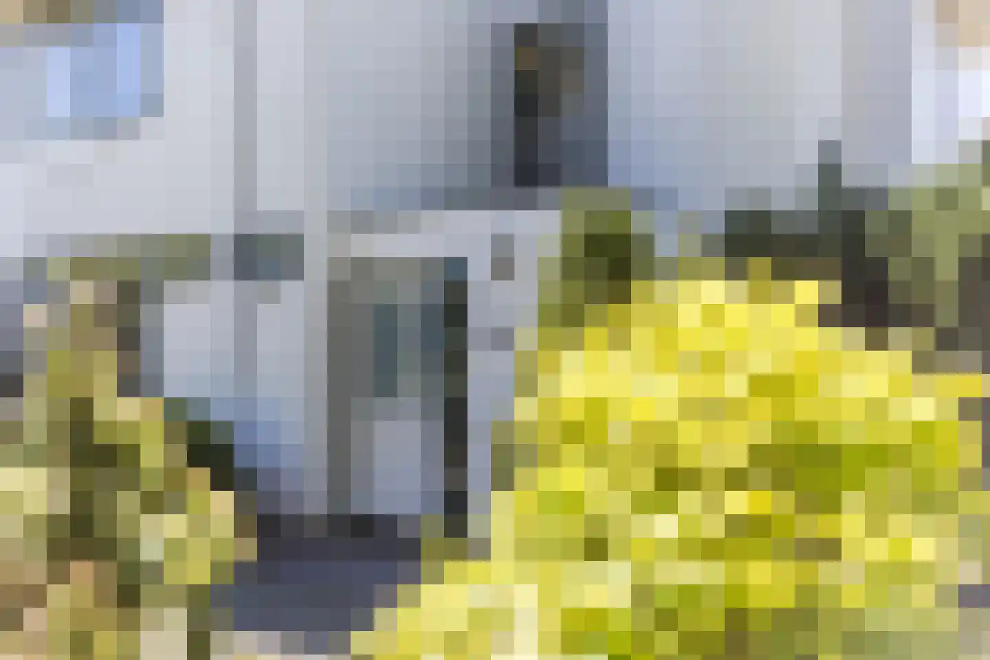 Rembrandtlaan 34 Oosterhout thumbnail 8