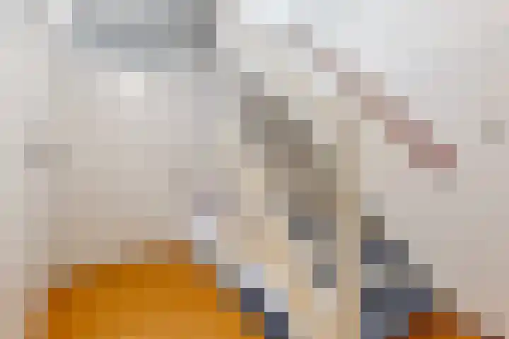 Rembrandtlaan 34 Sassenheim thumbnail 15