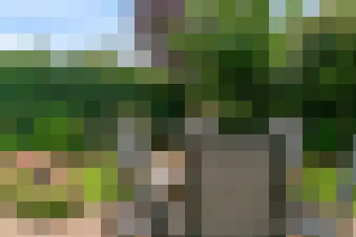 Rembrandtlaan 34 Sassenheim thumbnail 32