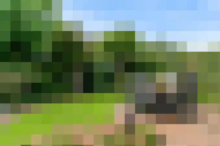 Rembrandtlaan 34 Sassenheim thumbnail 33