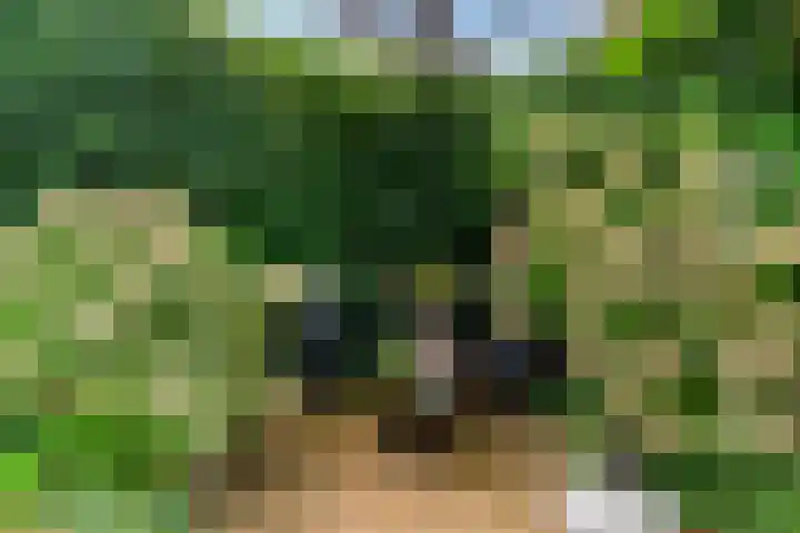 Rembrandtlaan 34 Sassenheim thumbnail 34