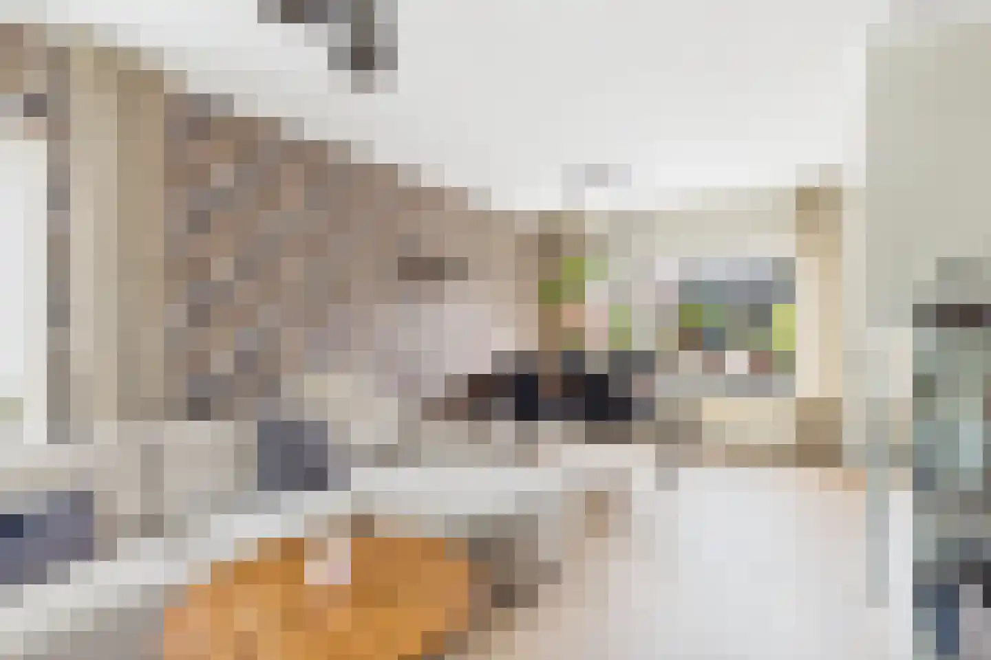 Rembrandtlaan 35 Terneuzen thumbnail 18