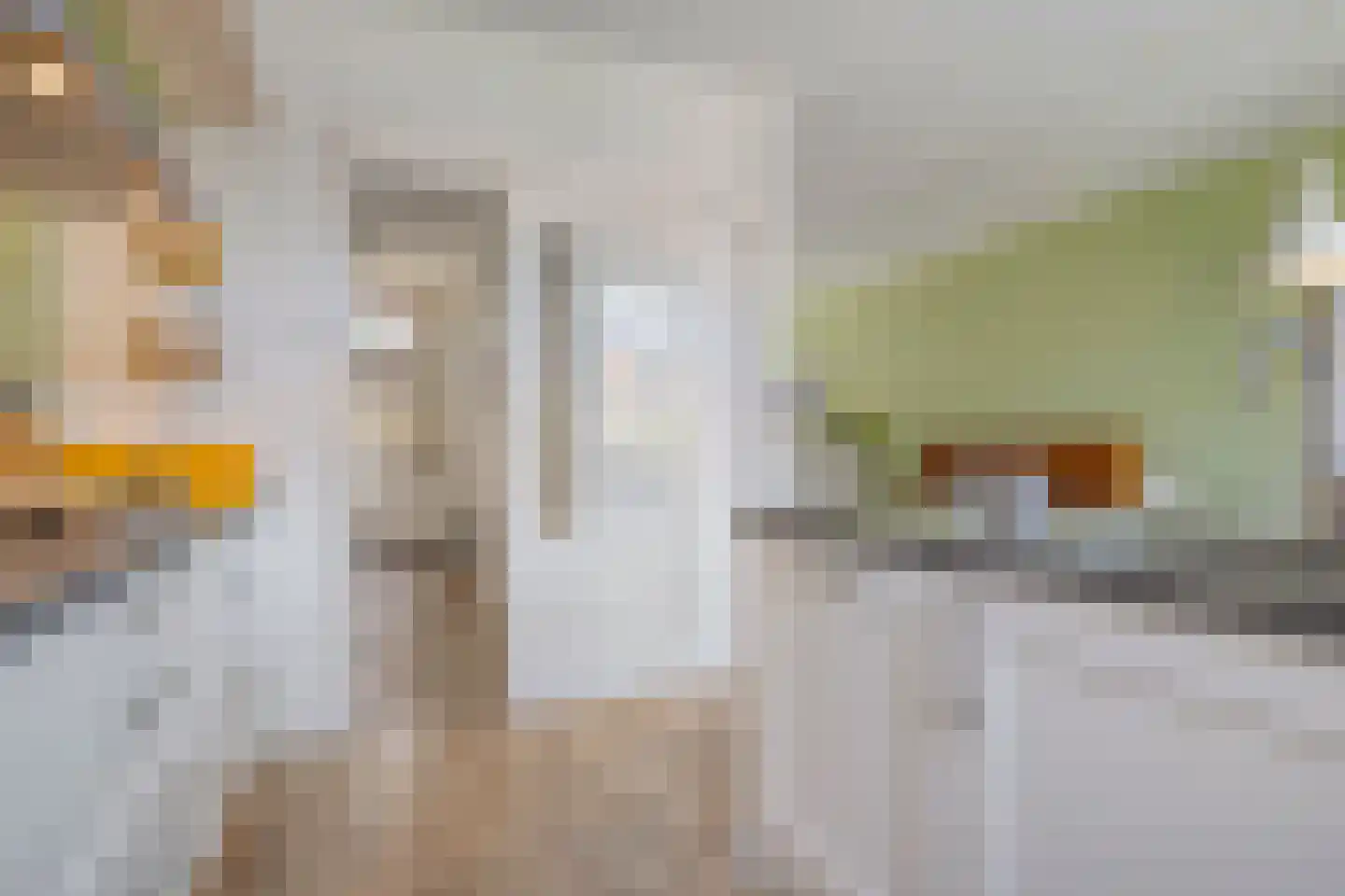 Rembrandtlaan 35 Zwolle thumbnail 12