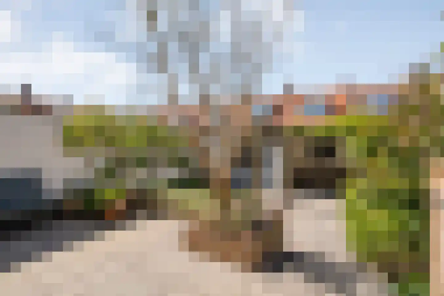 Rembrandtlaan 35 Zwolle thumbnail 23
