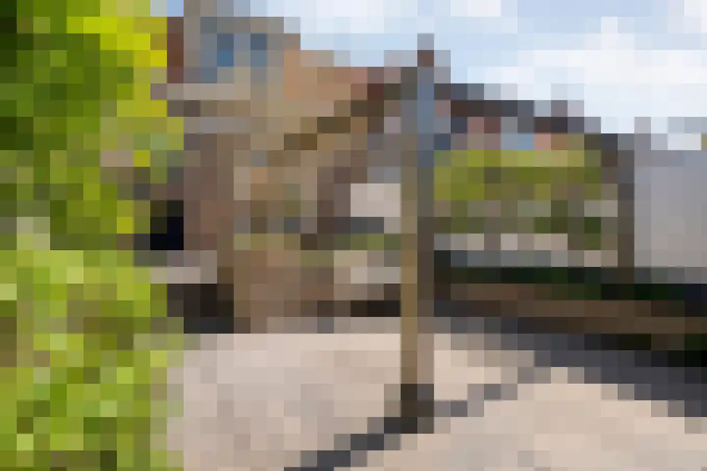 Rembrandtlaan 35 Zwolle thumbnail 31