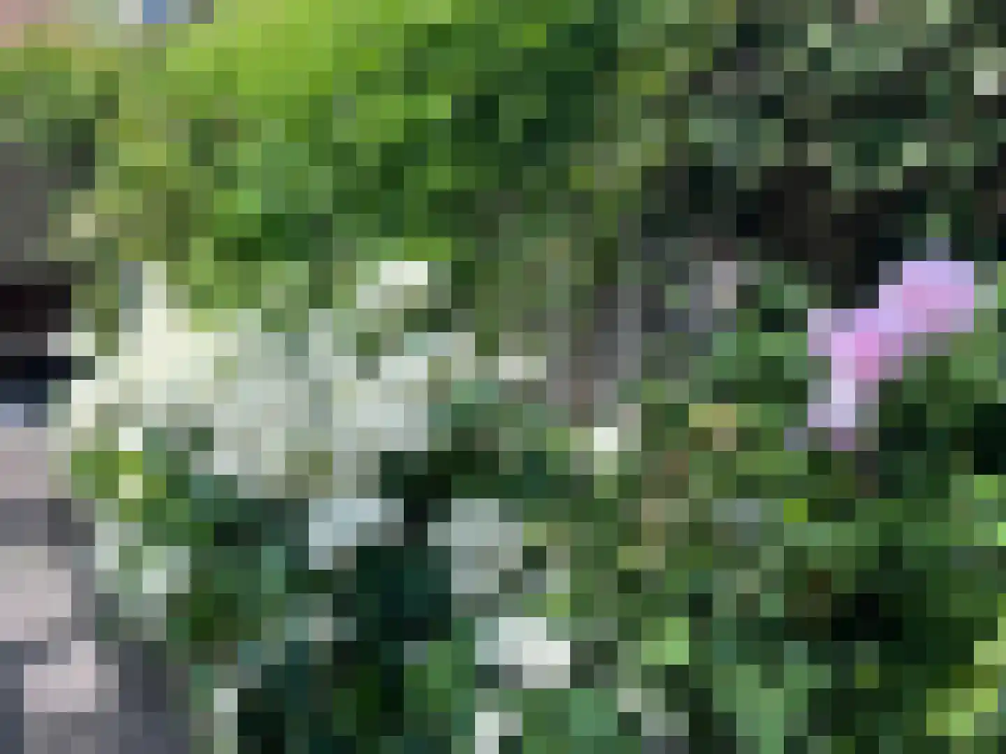 Rembrandtlaan 35 Zwolle thumbnail 33