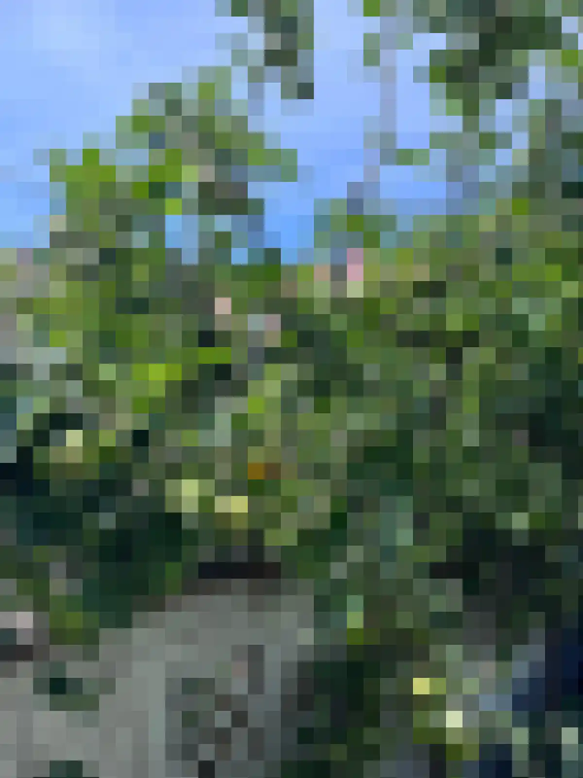 Rembrandtlaan 35 Zwolle thumbnail 34