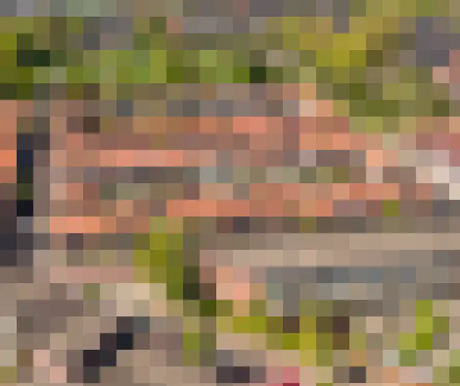 Rembrandtlaan 35 Zwolle thumbnail 35