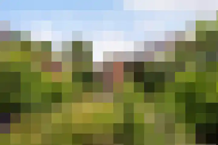 Rembrandtlaan 36 Baarn thumbnail 18