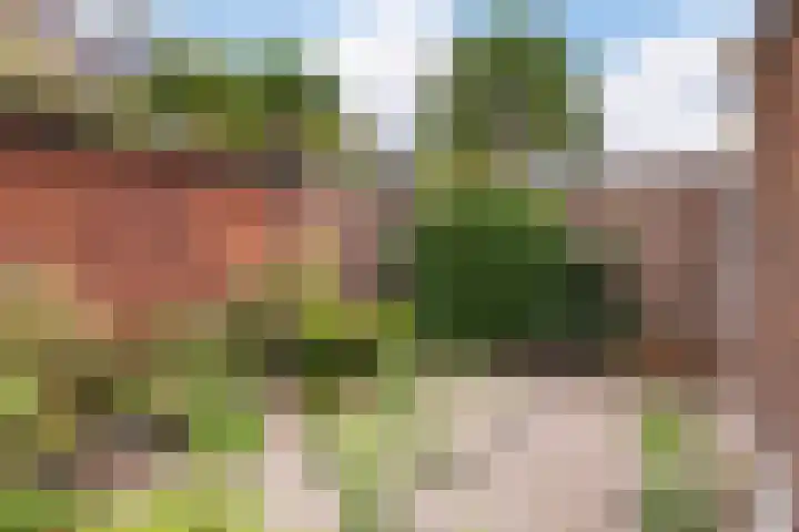 Rembrandtlaan 36 Baarn thumbnail 19