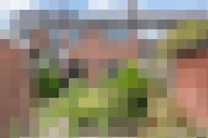 Rembrandtlaan 36 Baarn thumbnail 20