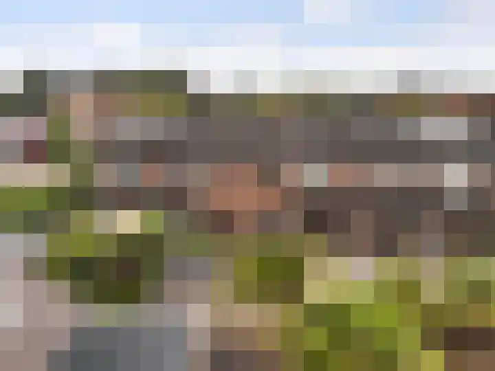 Rembrandtlaan 36 Baarn thumbnail 23
