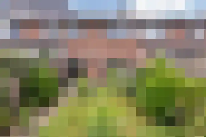 Rembrandtlaan 36 Baarn thumbnail 4