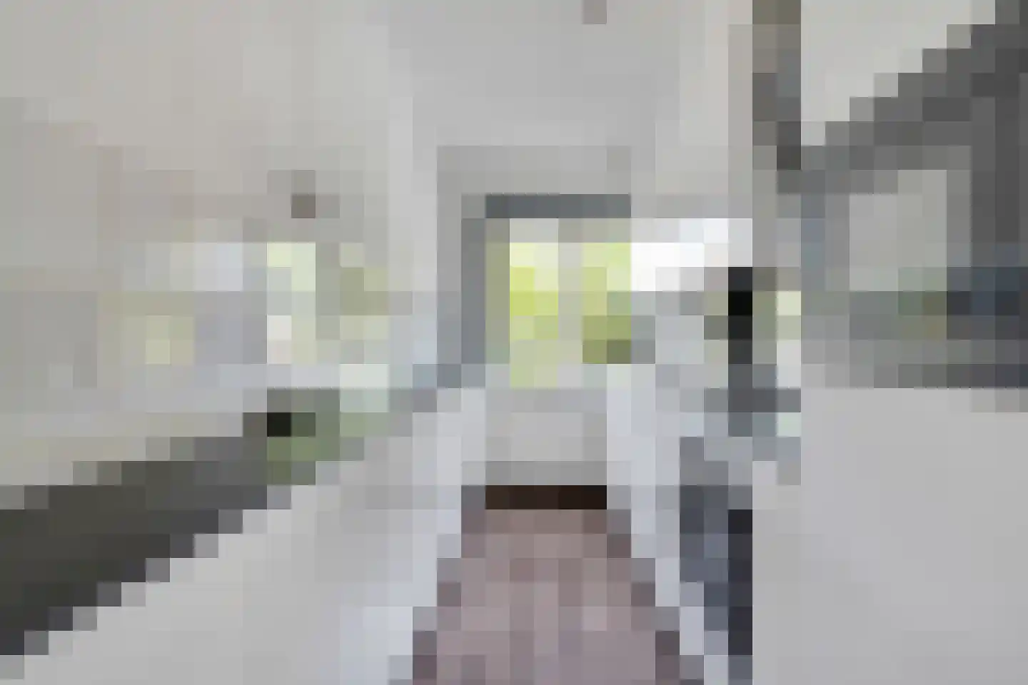 Rembrandtlaan 362 Enschede thumbnail 18