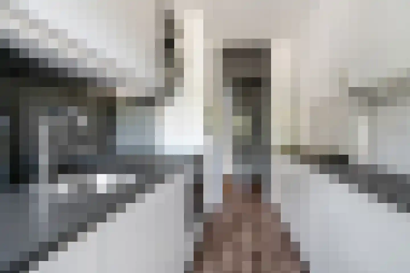 Rembrandtlaan 362 Enschede thumbnail 4