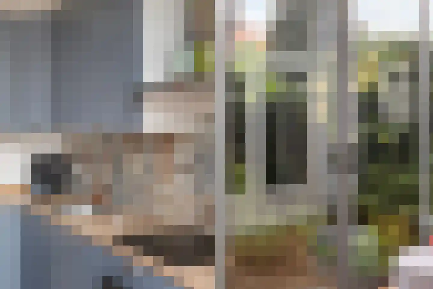 Rembrandtlaan 37 Zwolle thumbnail 10