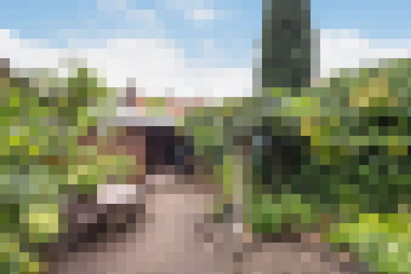 Rembrandtlaan 37 Zwolle thumbnail 14