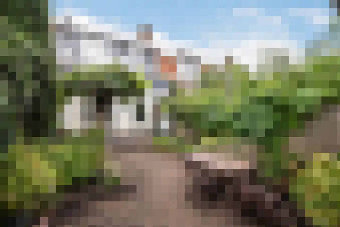 Rembrandtlaan 37 Zwolle thumbnail 15