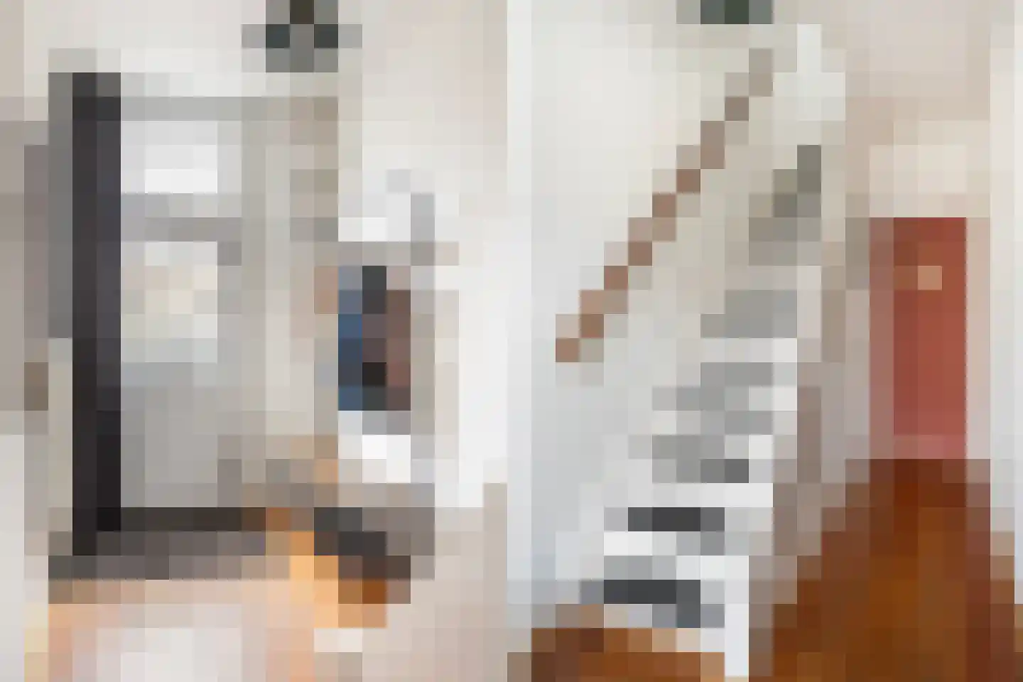Rembrandtlaan 37 Zwolle thumbnail 16
