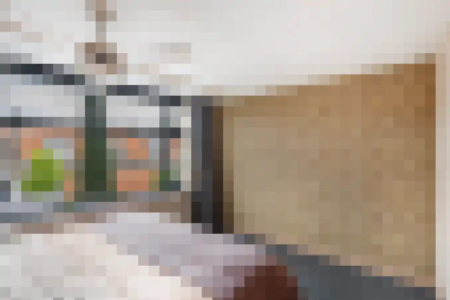 Rembrandtlaan 37 Zwolle thumbnail 20