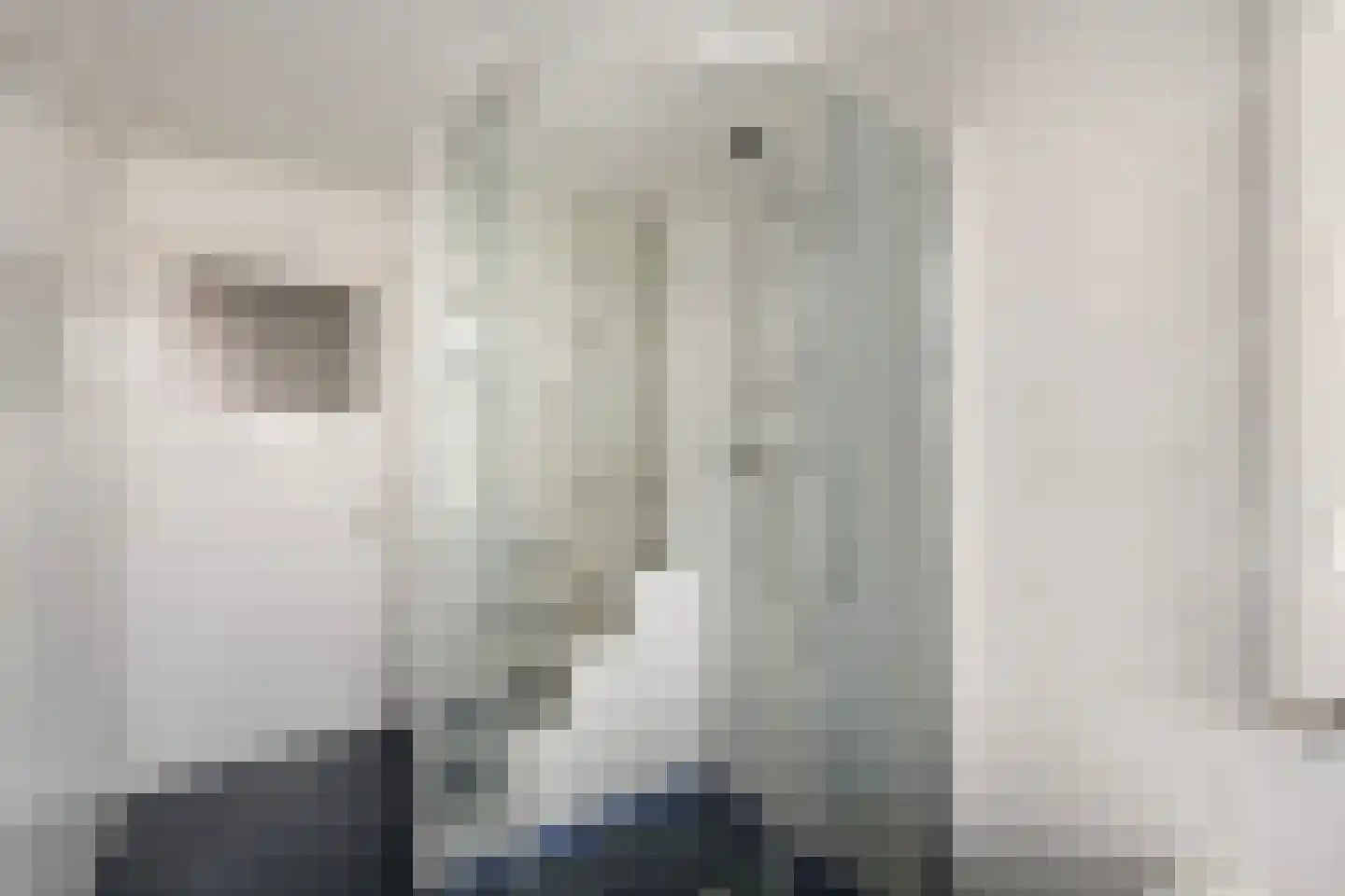 Rembrandtlaan 37 Zwolle thumbnail 26