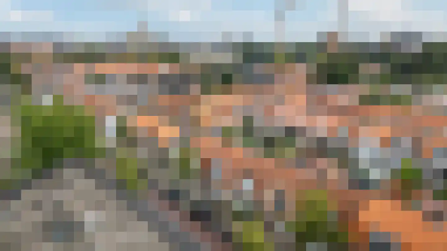 Rembrandtlaan 37 Zwolle thumbnail 28