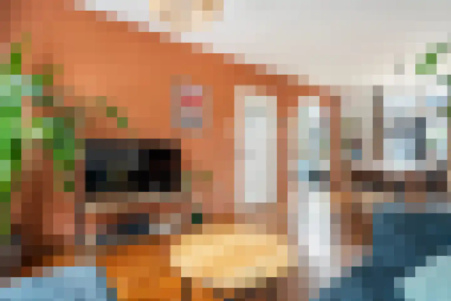 Rembrandtlaan 37 Zwolle thumbnail 4