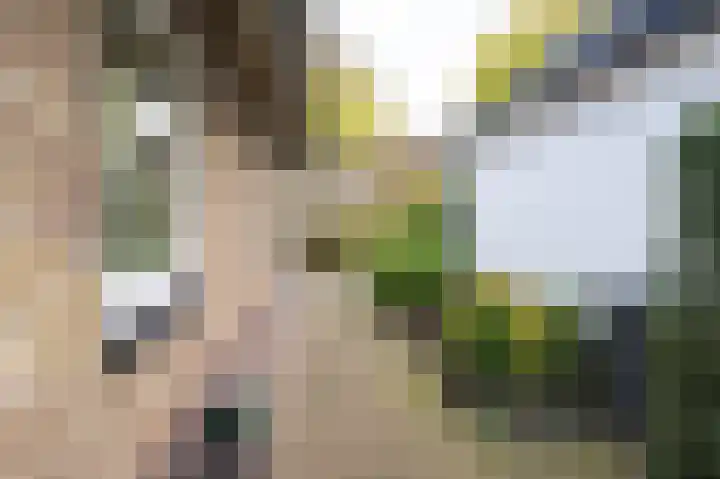 Rembrandtlaan 39 Eerbeek thumbnail 36