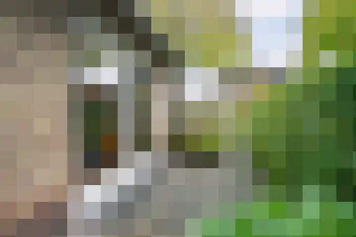 Rembrandtlaan 39 Eerbeek thumbnail 38
