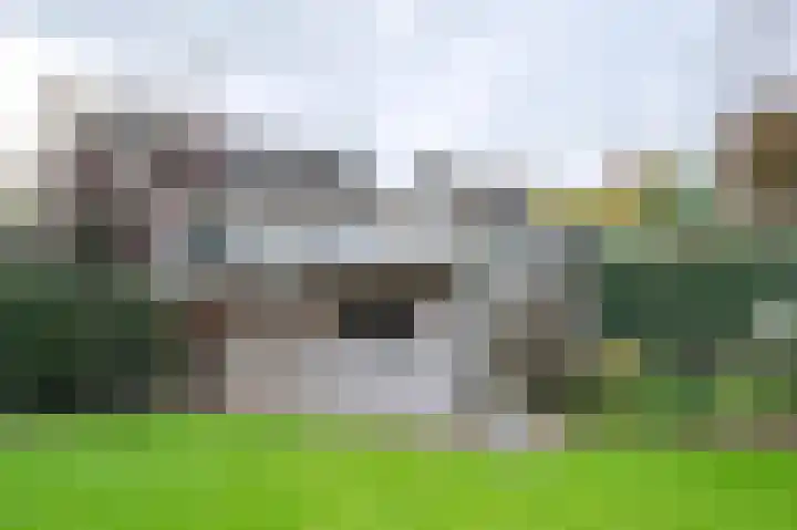 Rembrandtlaan 39 Eerbeek thumbnail 39