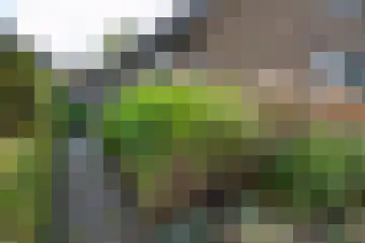 Rembrandtlaan 39 Eerbeek thumbnail 44